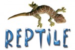 Reptile, Ashland, MA, USA