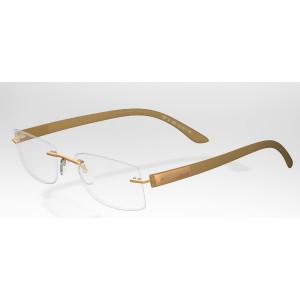 Enviso glasses by Silhouette