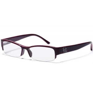 Chainmail glasses, Smith Optics